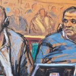 âI was there to try to kill the journalist,â gunman tells New York court