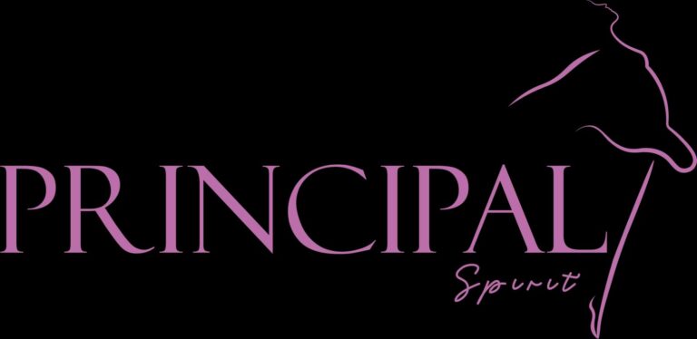 Principal Spirit Announces Launch of NT Series Ballet-Inspired Activewear Line