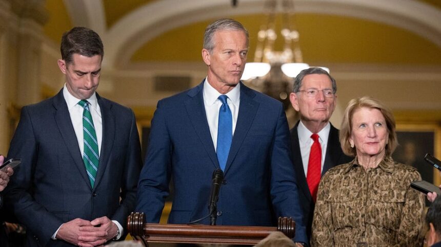 Thune accuses critics of 'creating false expectations' amid backlash over stalled SAVE America Act