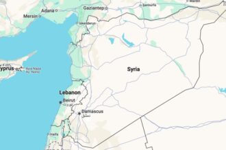 VOA Kurdish: Syria's interim constitution raises concerns among Kurds, observers
