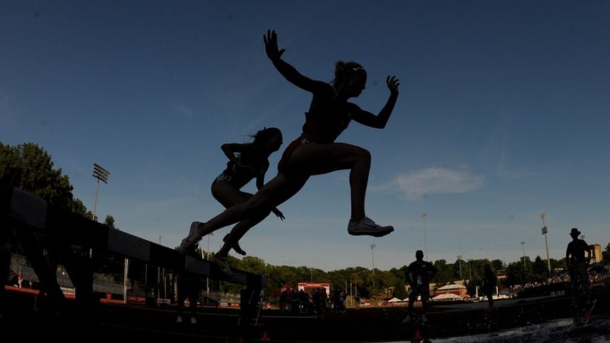 Yale student athlete comes forward to allege 'toxic culture' under athletic director Victoria Chun