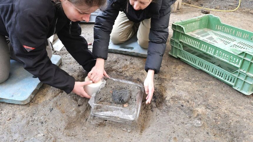 'Extremely rare' 2,000-year-old bread loaf unearthed at Roman legionary camp