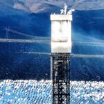 Regulators allow Obama-era solar plant to kill thousands of birds annually, investigation finds
