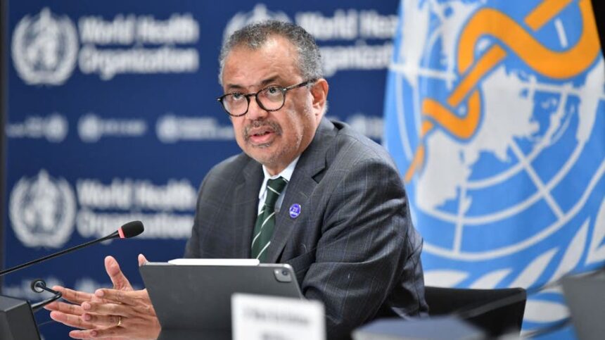 WHO head 'deeply concerned' over 'scale and speed' of Ebola spread, says emergency committee will meet