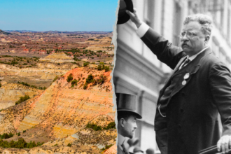 Congress should honor Teddy Roosevelt and conserve our outdoors for the next 250 years