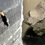 Meteorite that crashed into NJ home holds building blocks of life, scientists say