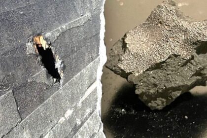 Meteorite that crashed into NJ home holds building blocks of life, scientists say