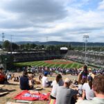 Internet goes wild for Little League World Series player's extremely relatable dream job