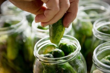 America's pickle obsession explodes as flavor spreads from chips to pizza, smoothies and toothpaste