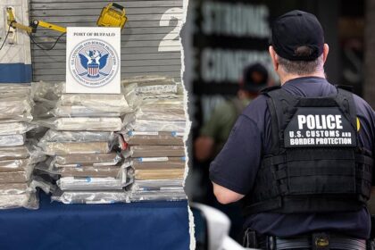 Hero K-9 sniffs out hidden $6M cocaine shipment along US-Canada border