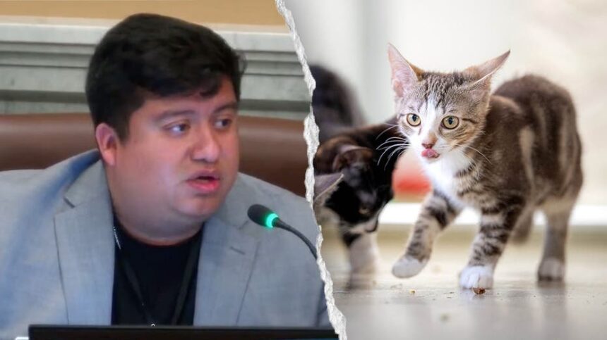 Blue state councilman mocked after claiming self-driving cars are 'murdering' pets: 'Hide your cats'